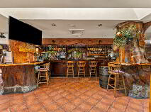 Photo 40 of The Thatch, Traditional Bar & Restaurant, Killenard