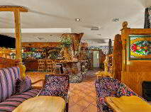 Photo 47 of The Thatch, Traditional Bar & Restaurant, Killenard