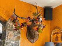 Photo 52 of The Thatch, Traditional Bar & Restaurant, Killenard