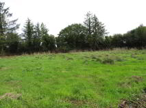 Photo 3 of Thomastown, Effin, Kilmallock