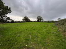 Photo 7 of 35.3 Acres (, 14.28 Ha) To Let, Gurteenakilla, Newtown, Nenagh
