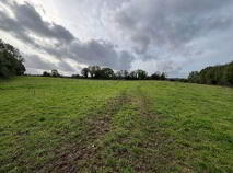 Photo 9 of 35.3 Acres (, 14.28 Ha) To Let, Gurteenakilla, Newtown, Nenagh