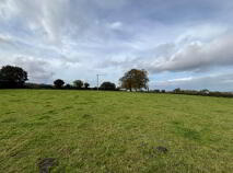 Photo 10 of 35.3 Acres (, 14.28 Ha) To Let, Gurteenakilla, Newtown, Nenagh