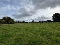Photo 11 of 35.3 Acres (, 14.28 Ha) To Let, Gurteenakilla, Newtown, Nenagh