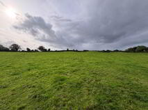 Photo 13 of 35.3 Acres (, 14.28 Ha) To Let, Gurteenakilla, Newtown, Nenagh