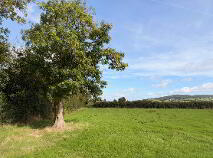 Photo 3 of Circa 0.5 Acres At, Garrancasey, Newcastle