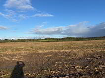 Photo 3 of Drumminascart, Ballycommon, Nenagh