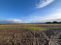 Photo 4 of Drumminascart, Ballycommon, Nenagh
