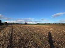 Photo 5 of Drumminascart, Ballycommon, Nenagh