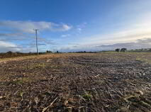 Photo 6 of Drumminascart, Ballycommon, Nenagh
