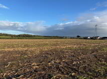 Photo 8 of Drumminascart, Ballycommon, Nenagh