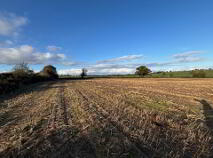 Photo 11 of Drumminascart, Ballycommon, Nenagh