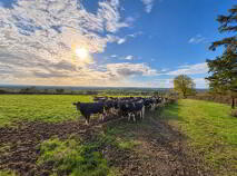 Photo 5 of Lot 39.36 Acres), Grange