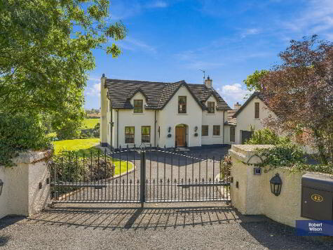 Photo 1 of 42 Dublinhill Road, Dromore