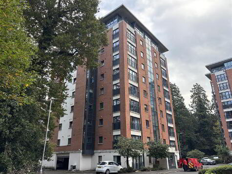 Front External