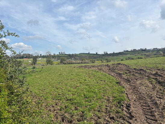 Photo 1 of Cloughvalley, Carrickmacross