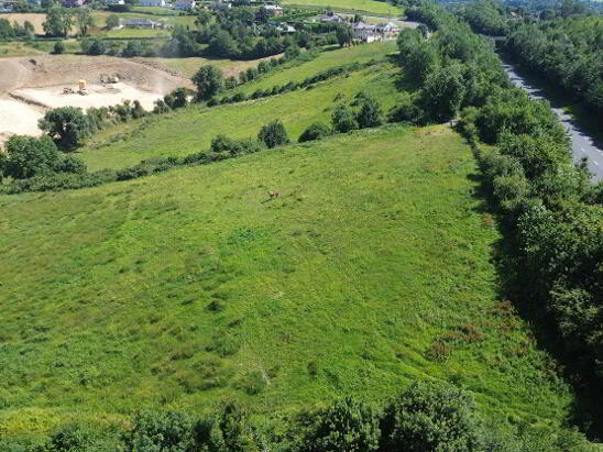 Photo 1 of Cloughvalley, Carrickmacross