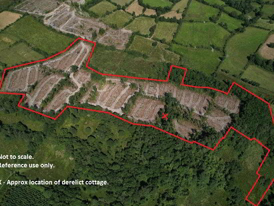 Photo 1 of Srloaghan, Aghawillin, Ballinamore