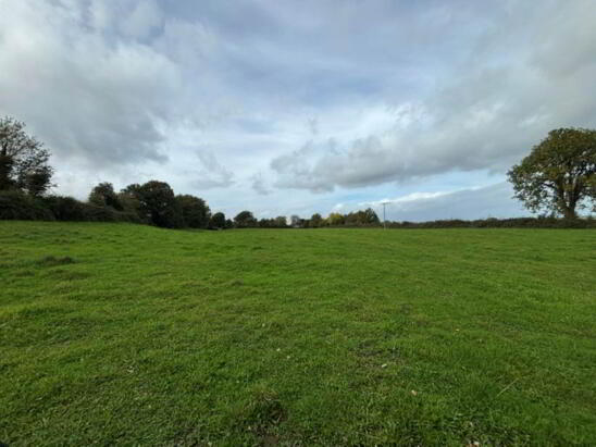 Photo 1 of 35.3 Acres (, 14.28 Ha) To Let, Gurteenakilla, Newtown, Nenagh