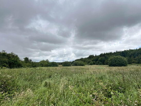 Photo 1 of Approx, 4.77 Ha (11, 8 Acres), Ballincurry, Glenamaddy, Glinsk