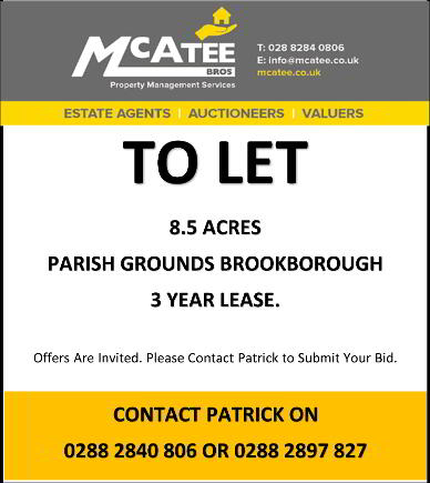 Photo 1 of Land Letting, Parish Grounds, Brookborough