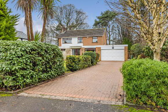 Photo 1 of 8 Elmwood Park, Lisburn