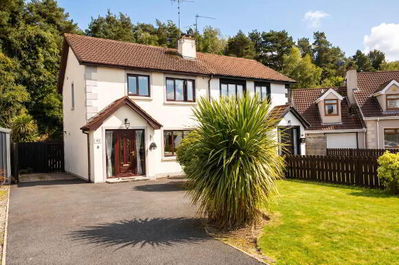 Photo 1 of 42 Glen River Park, Glenavy, Crumlin
