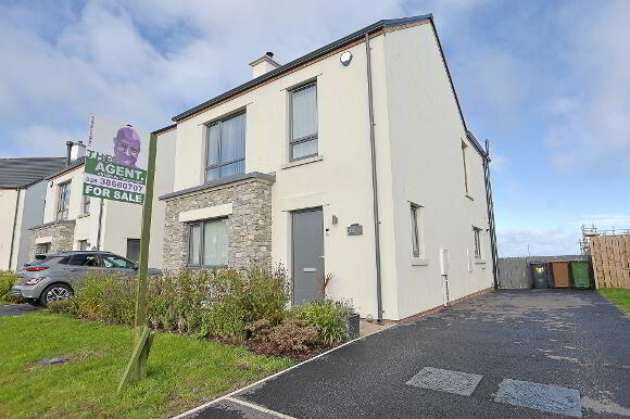 Photo 1 of 101 The Hollows, Lurgan, Craigavon