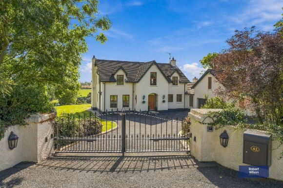 Photo 1 of 42 Dublinhill Road, Dromore