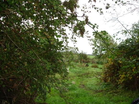 Photo 1 of Site 60m NW Of 31a Ballylintagh Road, Coleraine