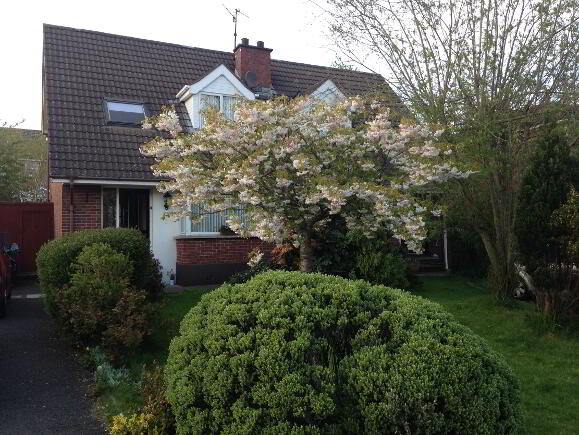 Photo 1 of 9 Woodlands Court, Limetree Avenue, Lisburn