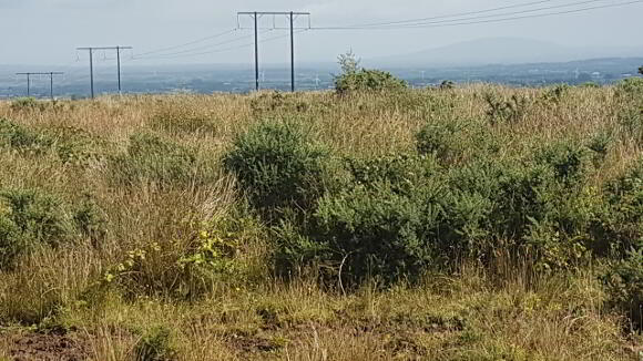 Photo 1 of Site 200m North East Of 50 Shinny Road, Coleraine, Coleraine