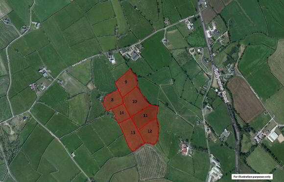 Photo 1 of Land At Ballylough Road, Donaghcloney