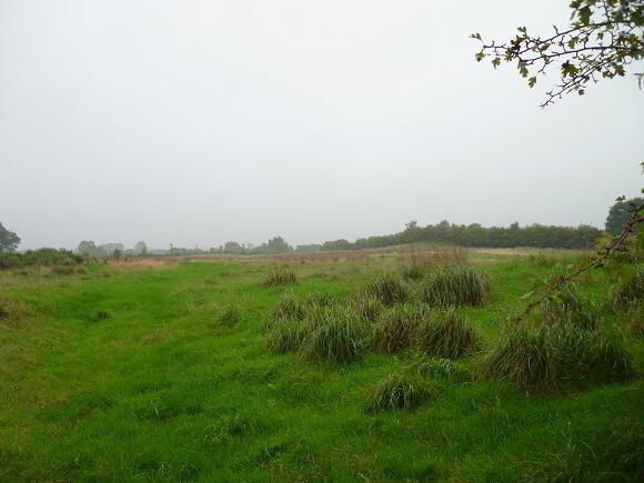Photo 1 of Castlekeeran, Kells