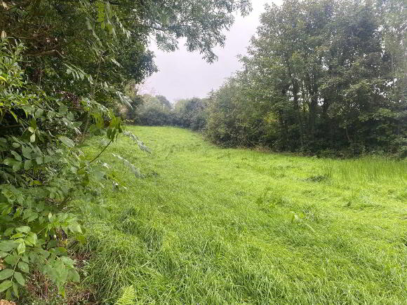 Photo 1 of Opp, 41 Hill Road, Dromara, Dromore