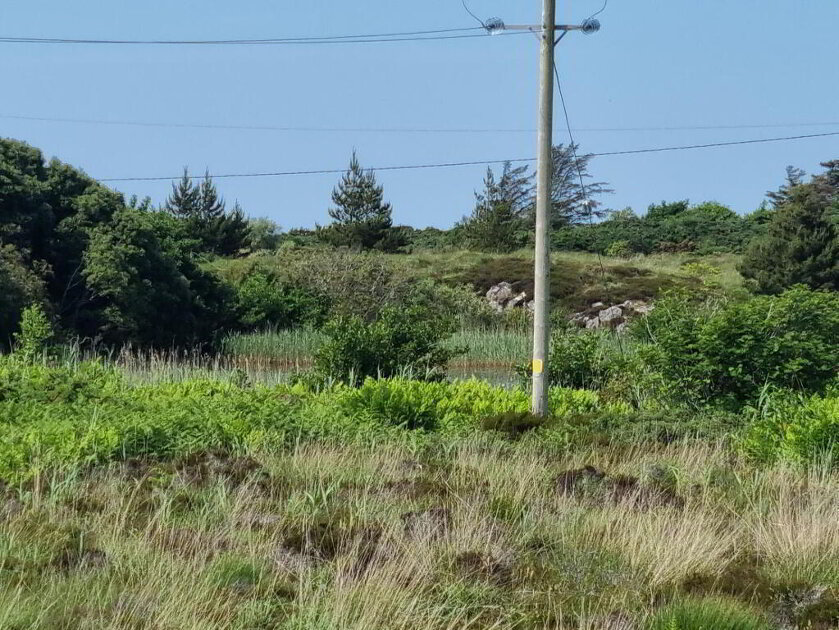Photo 3 of Saltpans, Maghery