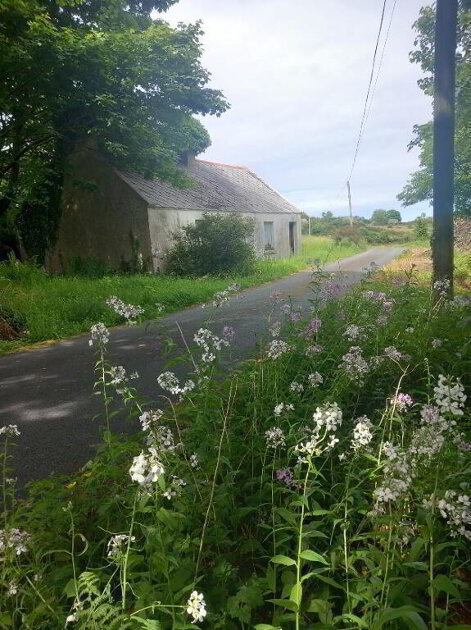 Photo 2 of Ardsbeg, Gortahork