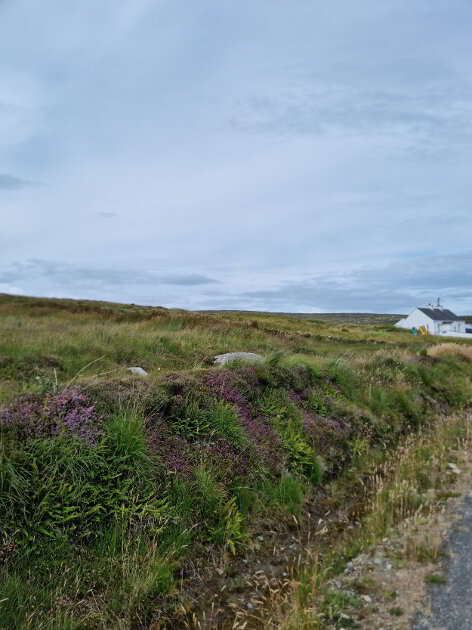 Photo 2 of Iilion, Arranmore