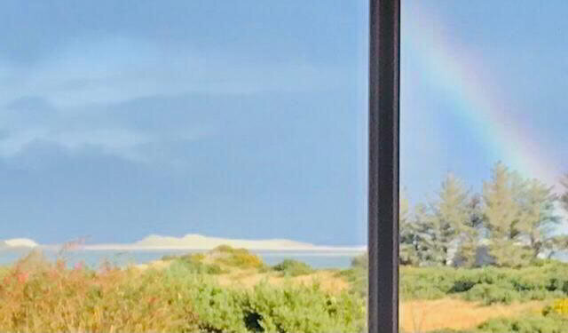 View from the Living Room