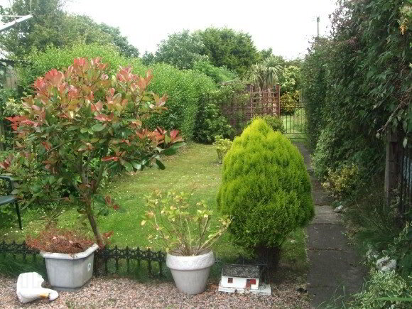 Photo 4 of 25 Francis Street, Lurgan