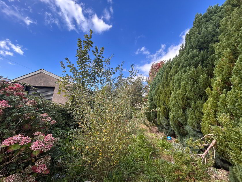 Photo 3 of Potential Development Site, Crom Lane, Newtownbutler