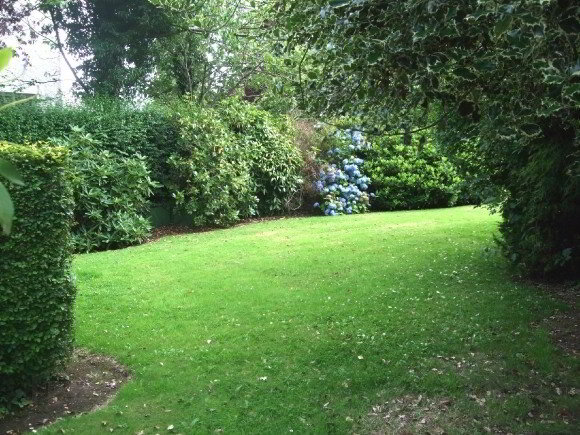 Photo 3 of 91 Francis Street, Lurgan