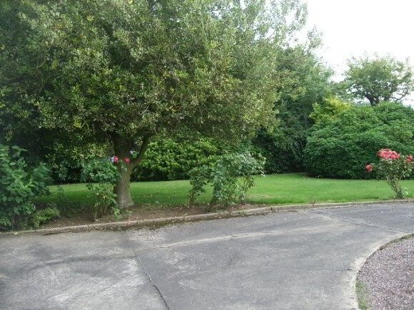 Photo 5 of 91 Francis Street, Lurgan