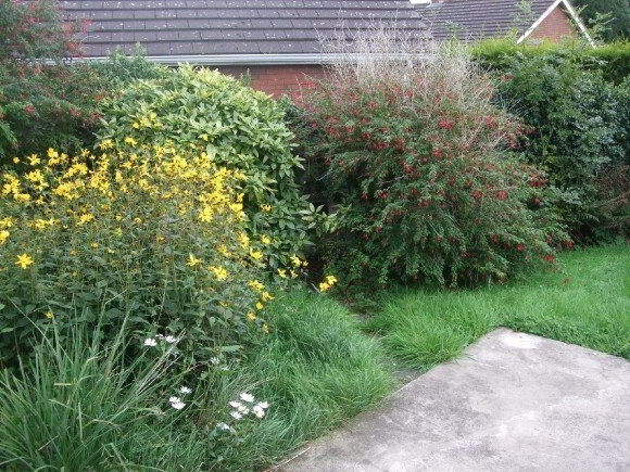 Photo 4 of 114 Drumgor Park, Craigavon
