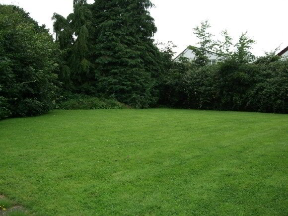Photo 3 of Lyntara, Old Portadown Road, Lurgan