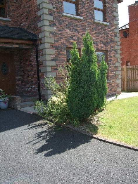 Photo 4 of Bredan Park, Magheralin
