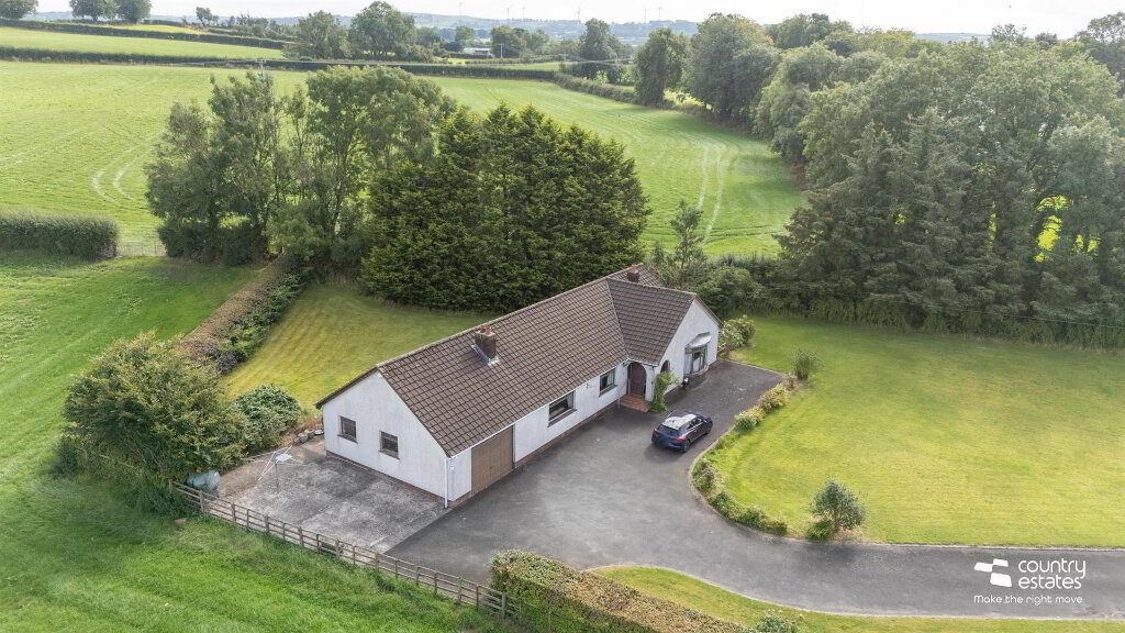DJI_20260624114248_0513_D.jpg