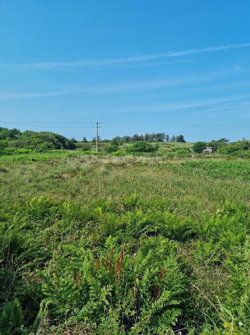 Photo 1 of Saltpans, Maghery