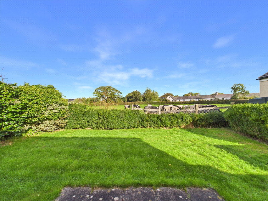 Back Garden