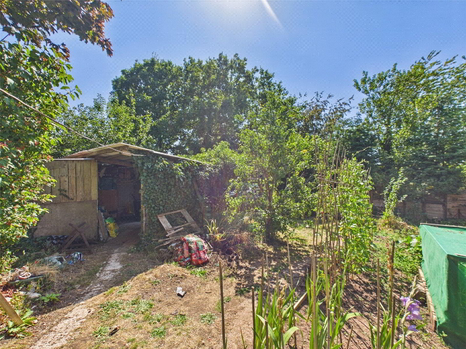 Veg Garden